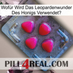 Wofür Wird Das Leopardenwunder Des Honigs Verwendet 13